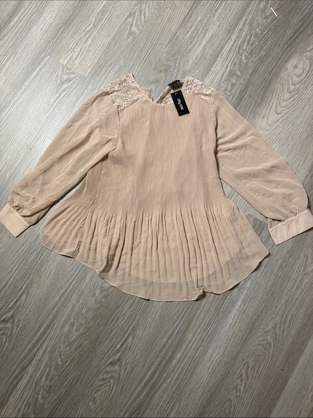 Olivia Moon Dusty Blush Lace-Trim Pleated Chiffon Top